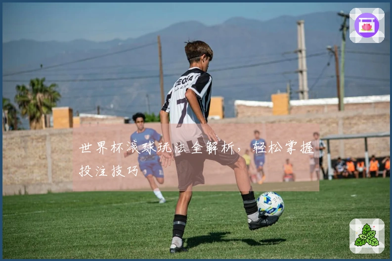世界杯滚球玩法全解析，轻松掌握投注技巧