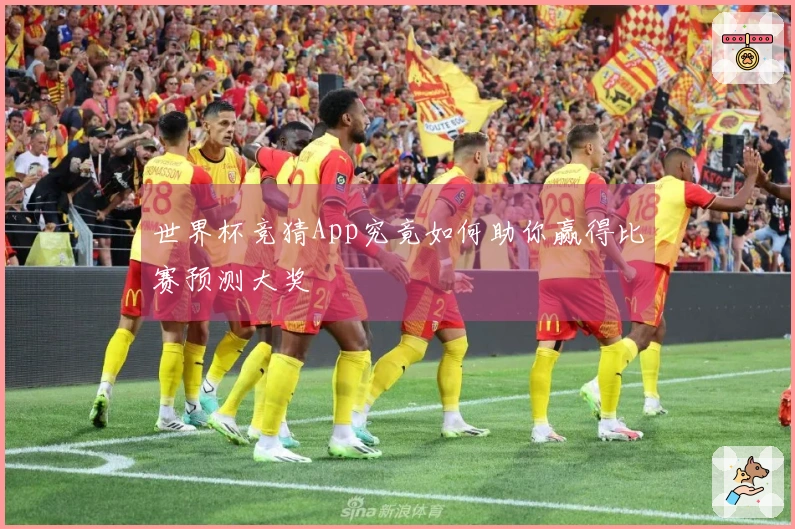 世界杯竞猜App究竟如何助你赢得比赛预测大奖