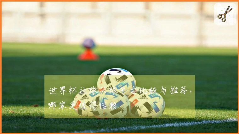 世界杯让球买球平台比较与推荐，哪家更值得信赖